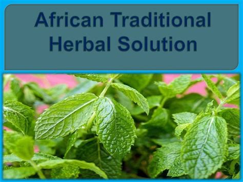 Fertility issues can be an emotional and financial strain on couples. . African herbs for fertility